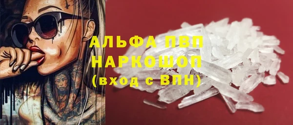Альфа ПВП Верея