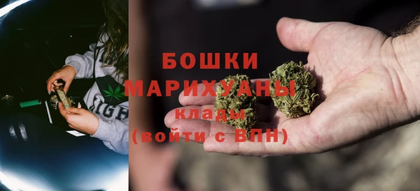 Альфа ПВП Верея