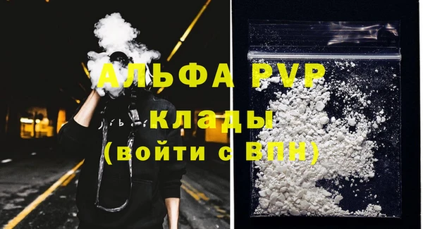 Альфа ПВП Верея
