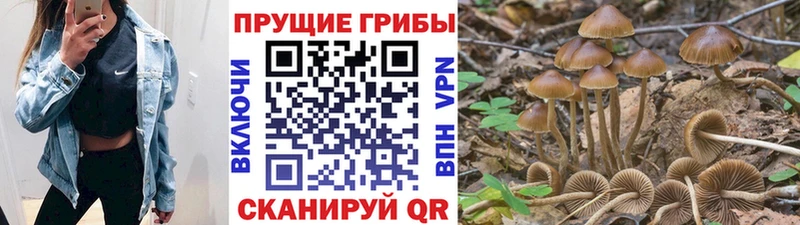 Псилоцибиновые грибы ЛСД  Купить  Новопавловск 